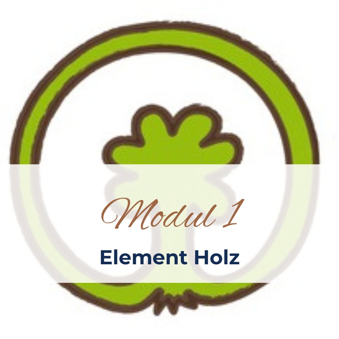 5-Elemente-Kurs - Modul 1