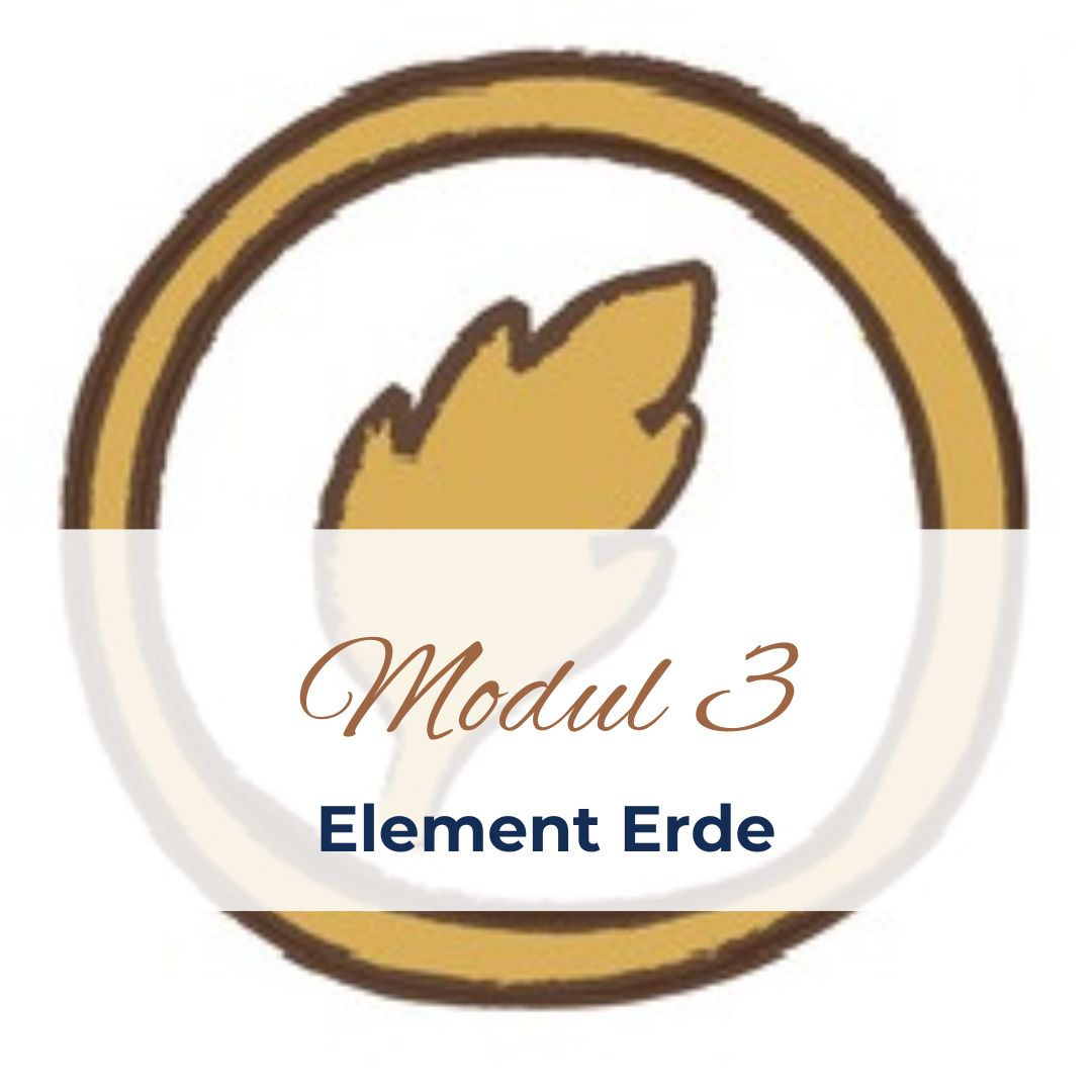 5-Elemente-Kurs - Modul 3