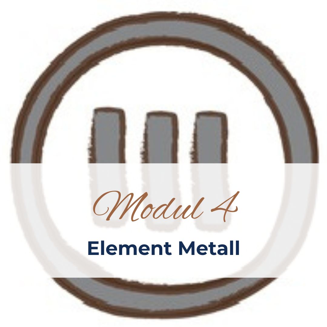 5-Elemente-Kurs - Modul 4