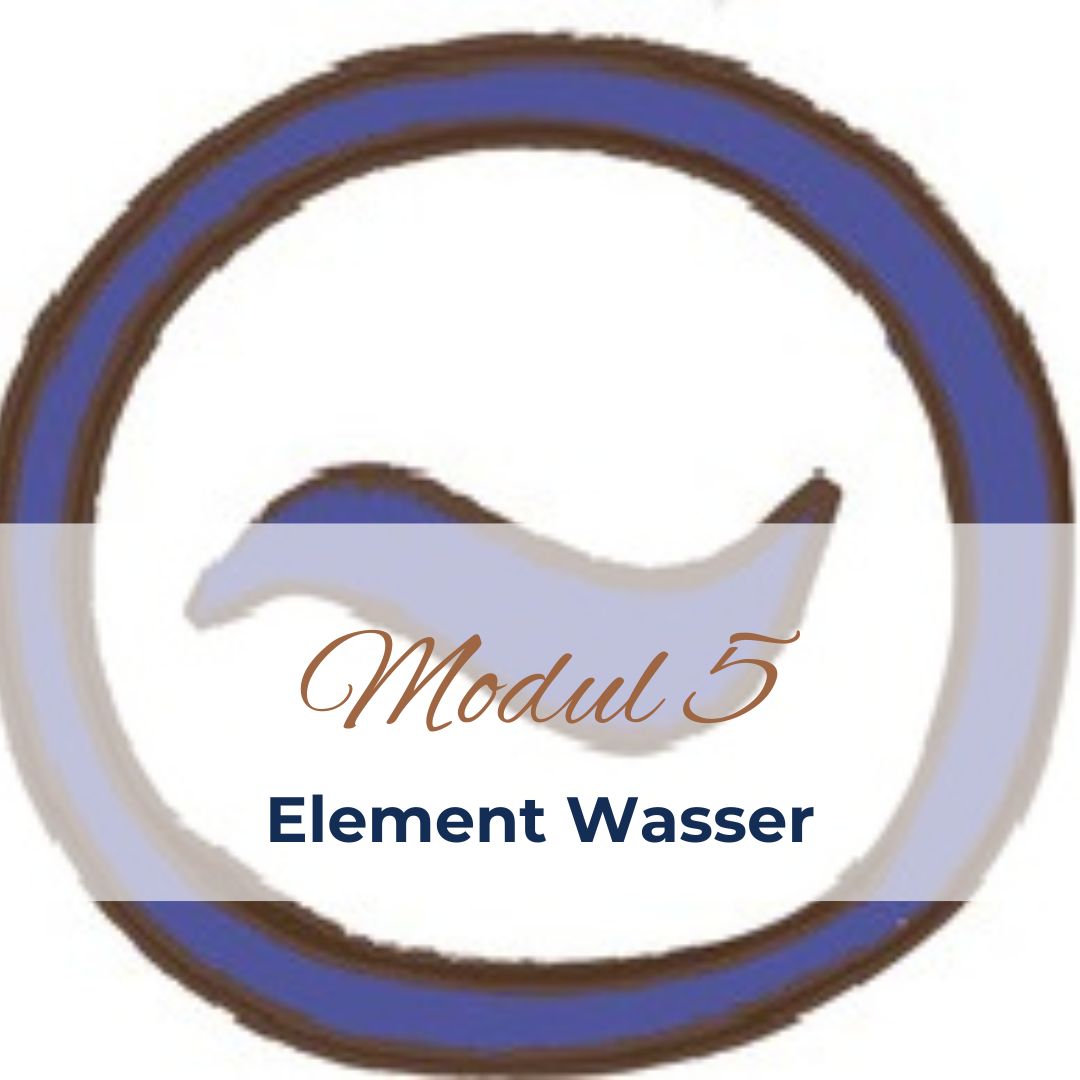 5-Elemente-Kurs - Modul 5