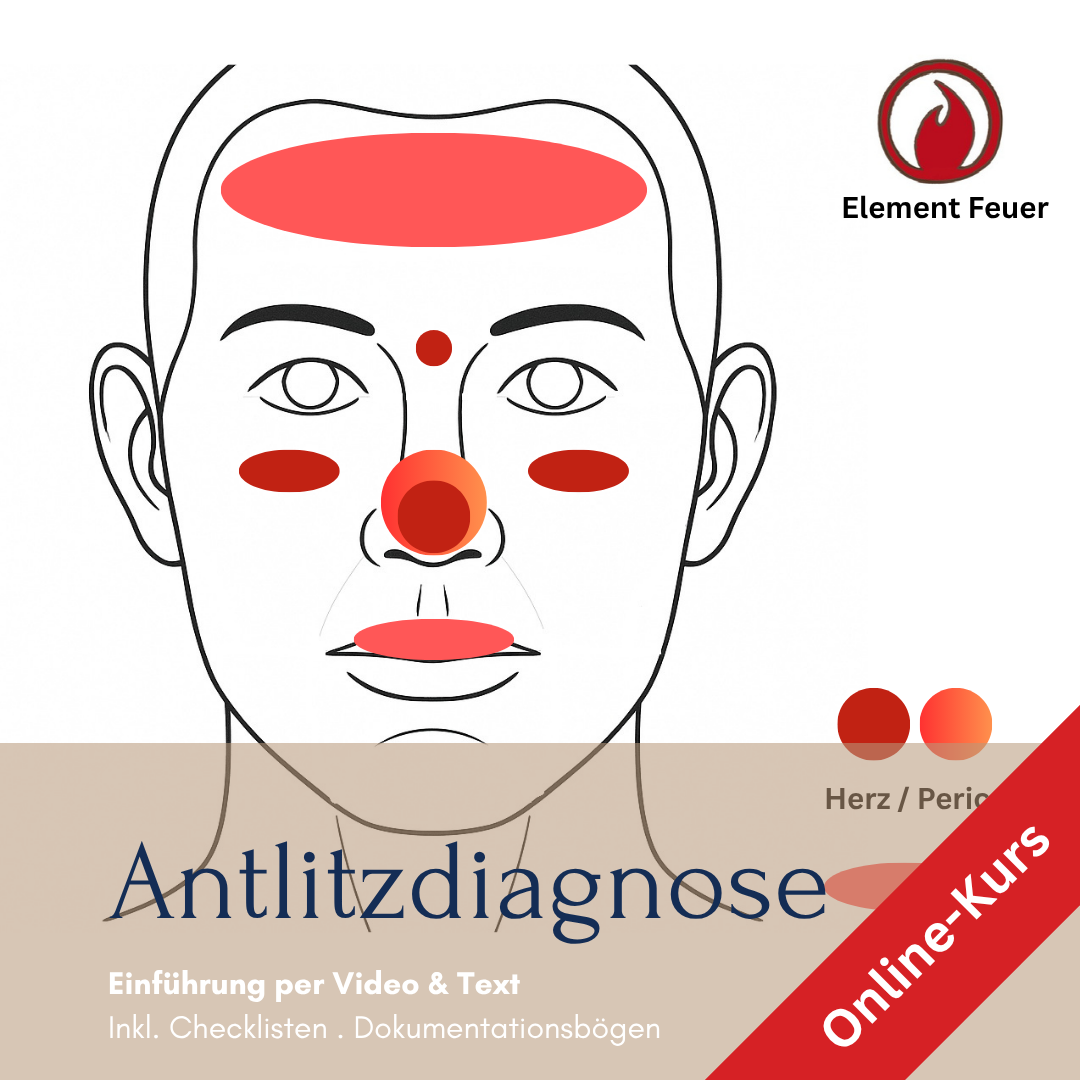 Grafik zum Kurs: Antlitzdiagnose der TCM