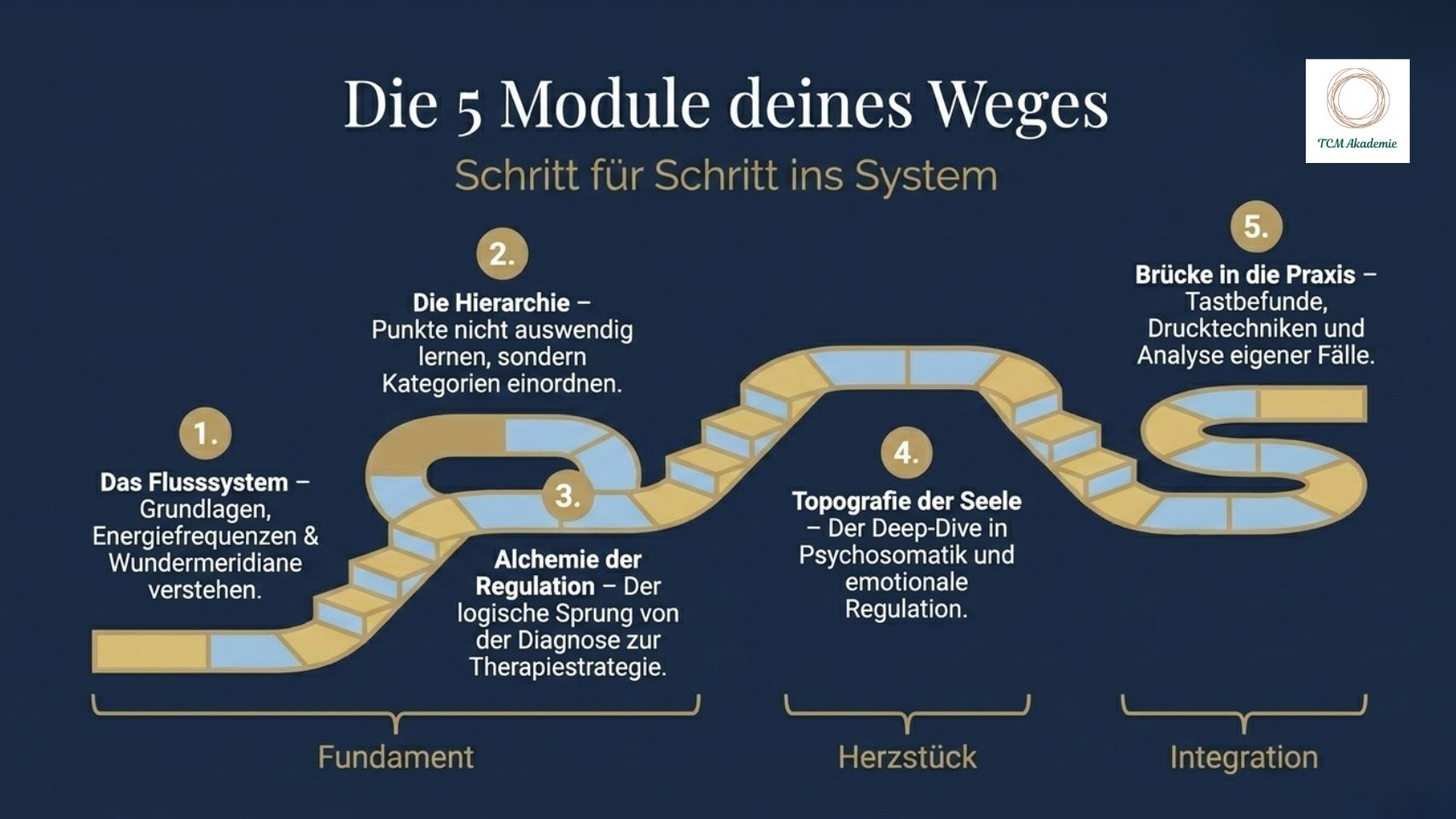 Die 5 Module Die 5 Module im TCM-Matrix-Programm