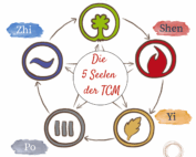 Illustration der 5 Seelen der TCM: Hun (Holz), Shen (Feuer), Yi (Erde), Po (Metall), Zhi (Wasser) – im Erzeugungskreis der fünf Elemente dargestellt mit Symbolen, Farben und Beschriftung. Zentrum: Die 5 Seelen der TCM.