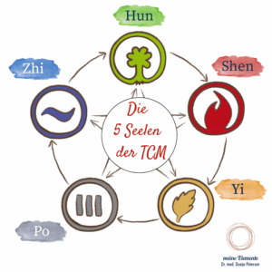 Illustration der 5 Seelen der TCM: Hun (Holz), Shen (Feuer), Yi (Erde), Po (Metall), Zhi (Wasser) – im Erzeugungskreis der fünf Elemente dargestellt mit Symbolen, Farben und Beschriftung. Zentrum: Die 5 Seelen der TCM.