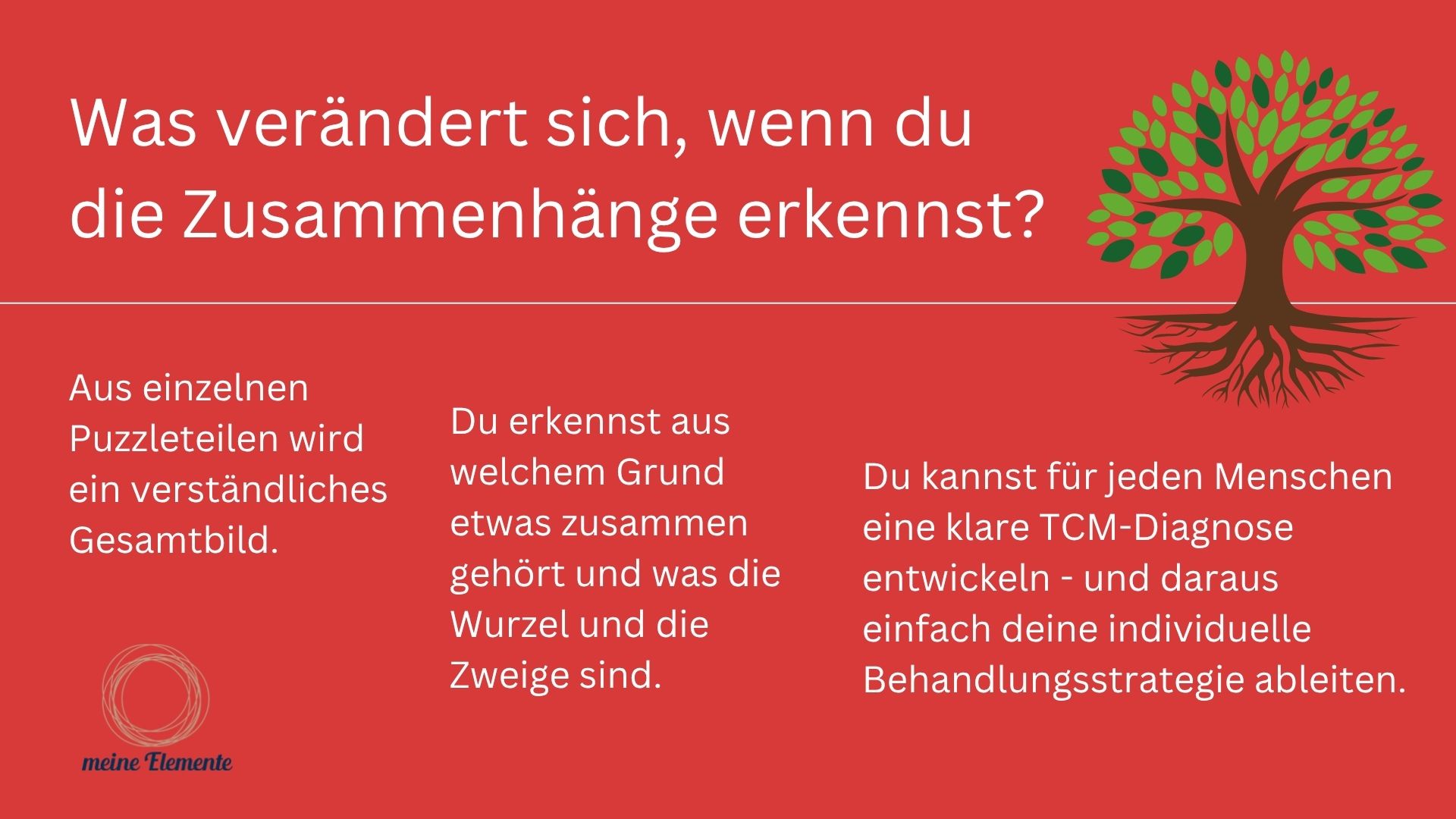 Was ändert sich durch R+B Was sich durch dasTCM-Diagnostik-Programm Roots&Brnaches ändert