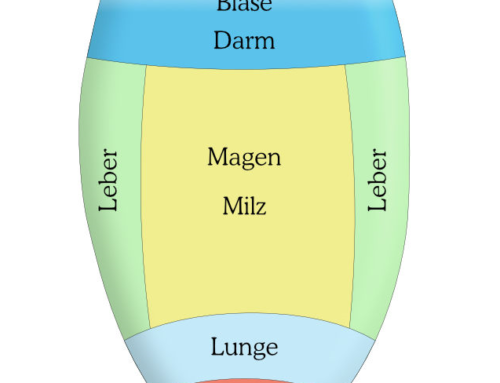 Wie man eine Zungendiagnose stellt