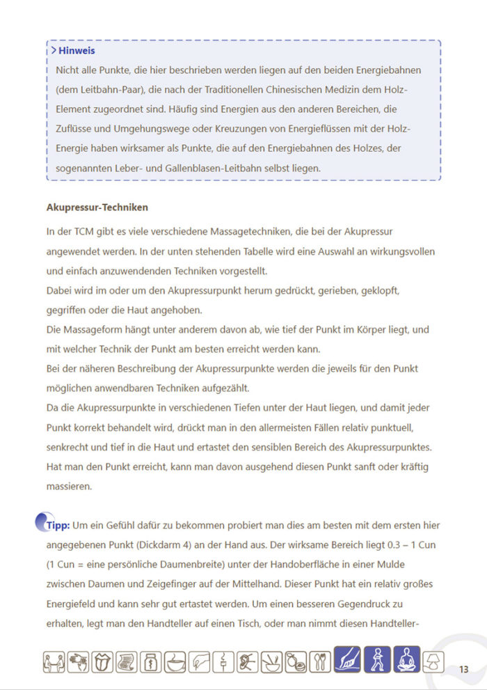 eBook Akupressur-Punkte und Konzepte für das Element Wasser