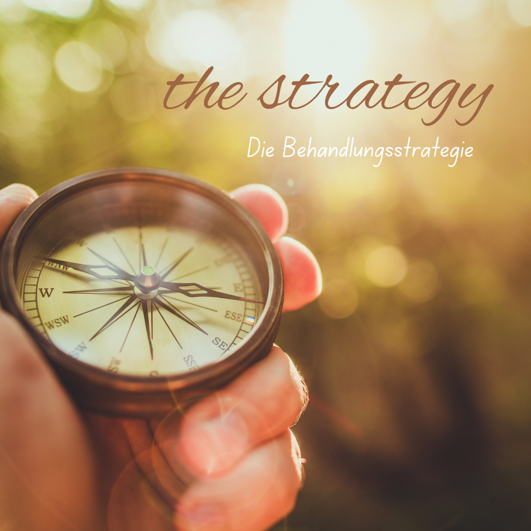 the strategy